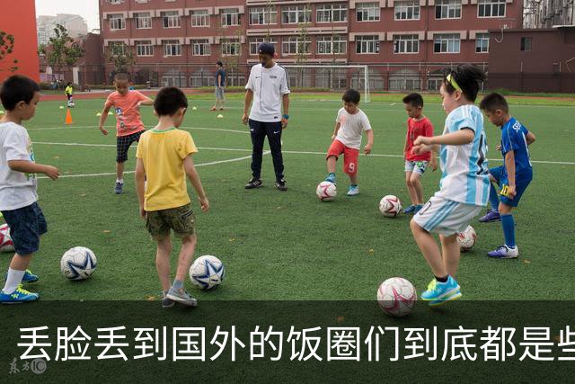 丢脸丢到国外的饭圈们到底都是些什么人？