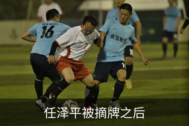 任泽平被摘牌之后
