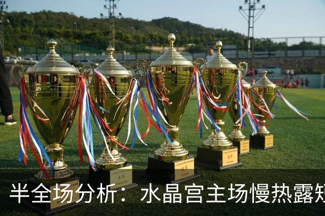 半全场分析：水晶宫主场慢热露短，波兹南莱赫抢先后程争胜