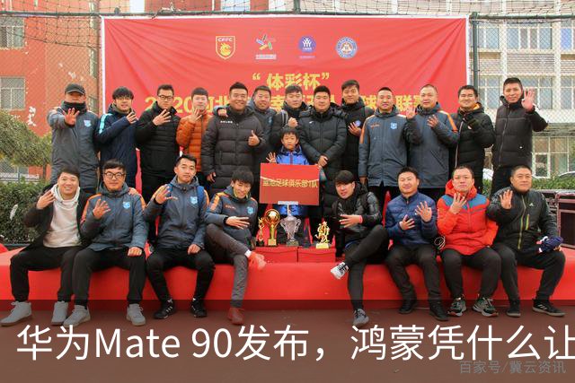 华为Mate 90发布，鸿蒙凭什么让用户买单？