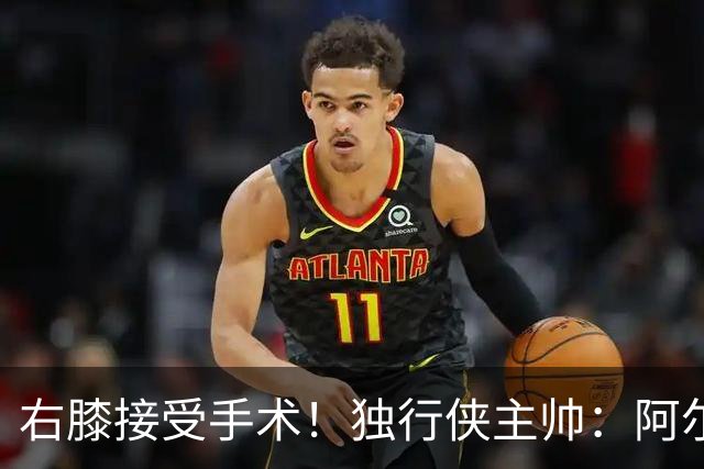 右膝接受手术！独行侠主帅：阿尔达马还有伤病反复的问题