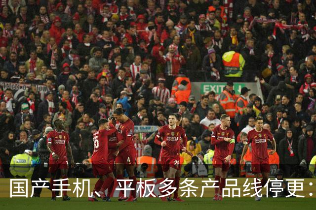 国产手机、平板多条产品线停更：发得越多 亏得越狠