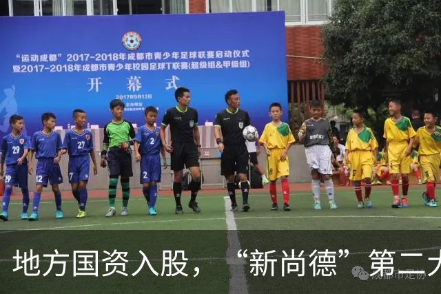 地方国资入股，“新尚德”第二大股东就位，无锡尚德获新生