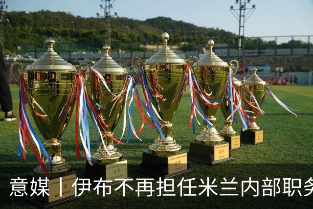 意媒丨伊布不再担任米兰内部职务？