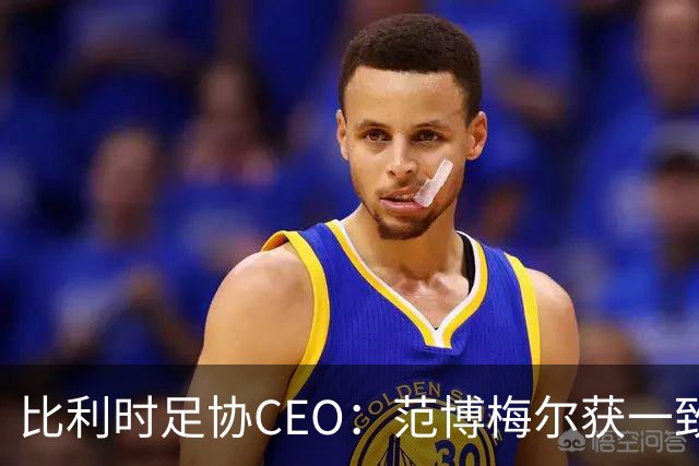 比利时足协CEO：范博梅尔获一致好评，球员们都喜欢他的踢法