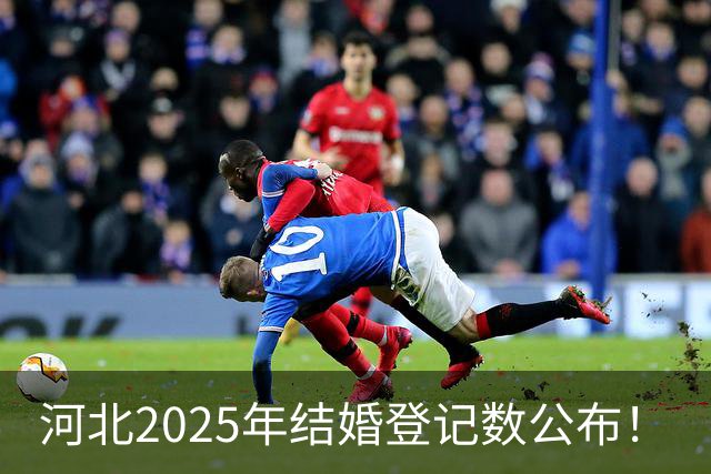 河北2025年结婚登记数公布！
