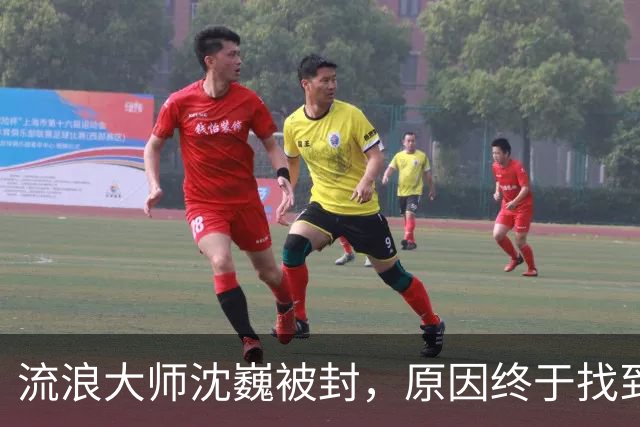 流浪大师沈巍被封，原因终于找到了