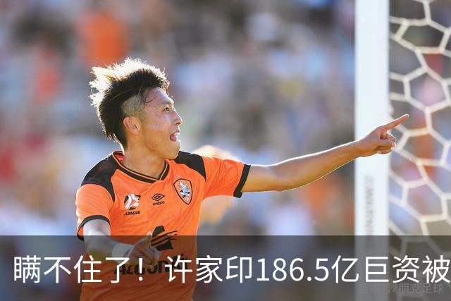 瞒不住了！许家印186.5亿巨资被挖出，不是转给了丁玉梅，却是他