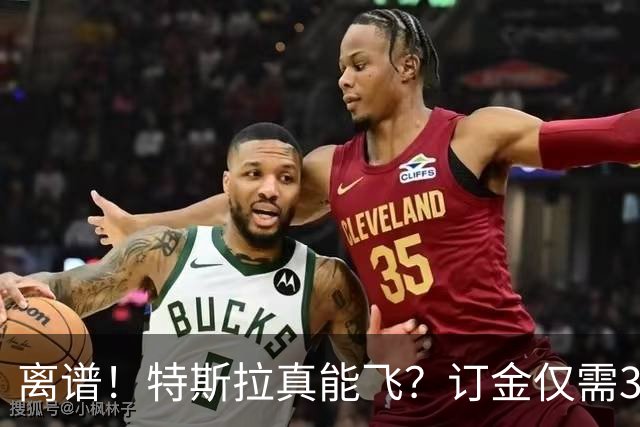 离谱！特斯拉真能飞？订金仅需33万.。。