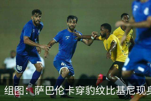 组图：萨巴伦卡穿豹纹比基尼现身海边 展示曼妙曲线