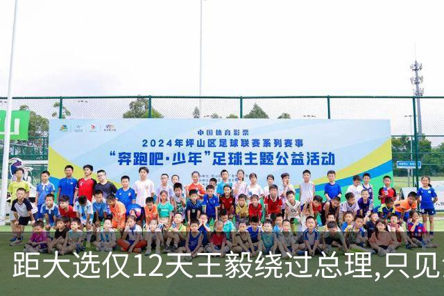距大选仅12天王毅绕过总理,只见没实权的总统,这盘棋很深