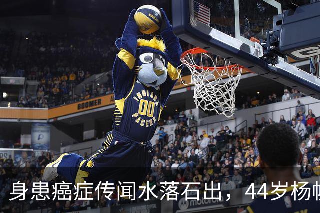 身患癌症传闻水落石出，44岁杨帆现状曝光，早已走上了另一条大道