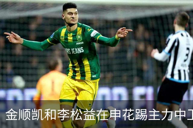 金顺凯和李松益在申花踢主力中卫的水平，都还不如这位强援