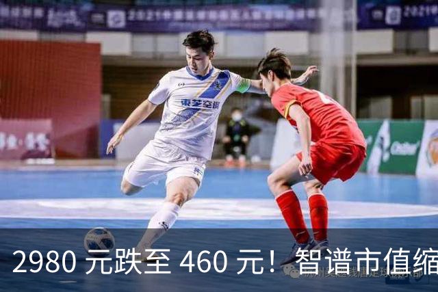 2980 元跌至 460 元！智谱市值缩水超万亿